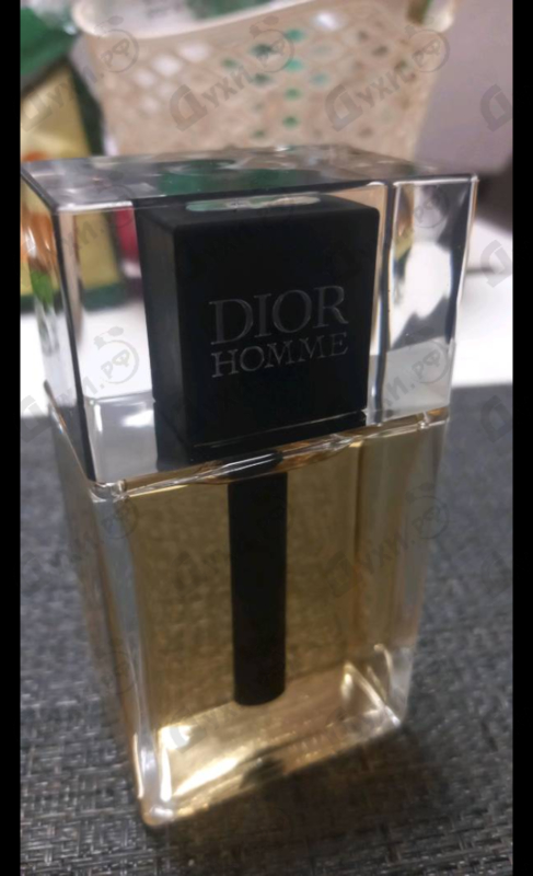 Отзыв Christian Dior Homme (2020)