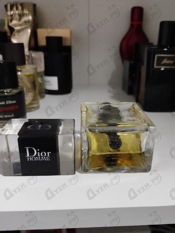 Купить Homme (2020) от Christian Dior