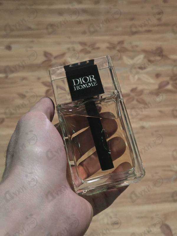 Купить Homme (2020) от Christian Dior