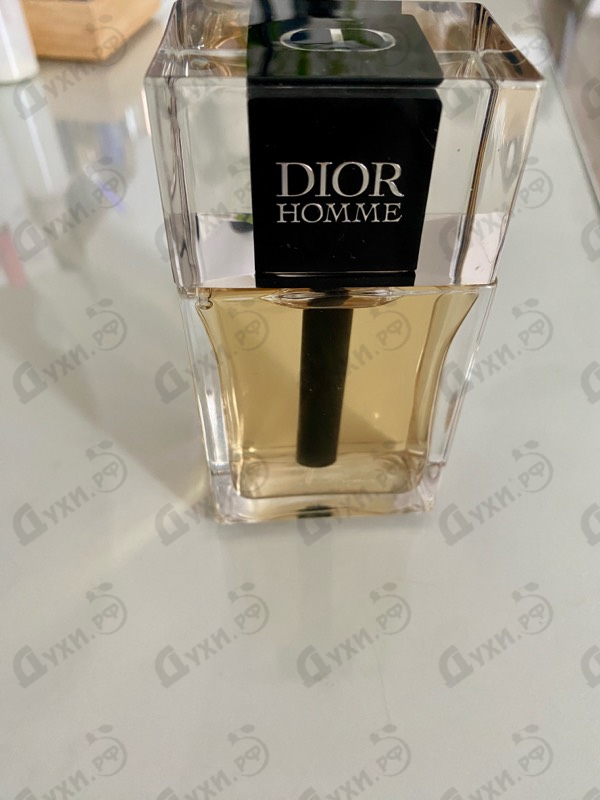 Купить Homme (2020) от Christian Dior