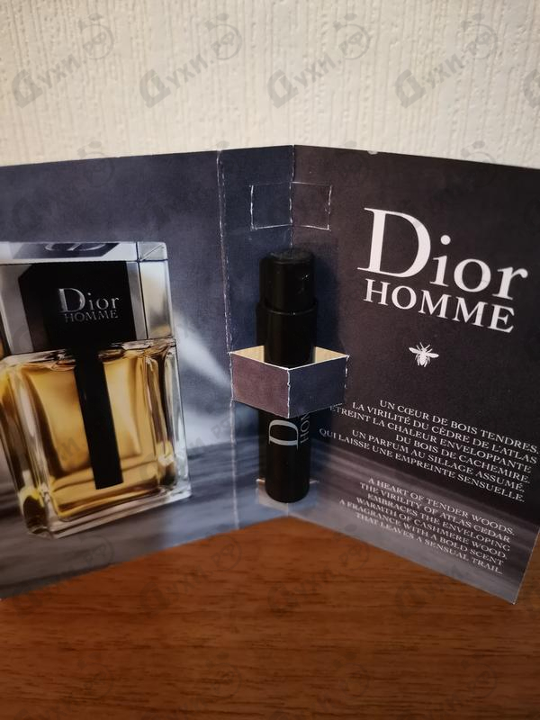 Отзывы Christian Dior Homme (2020)