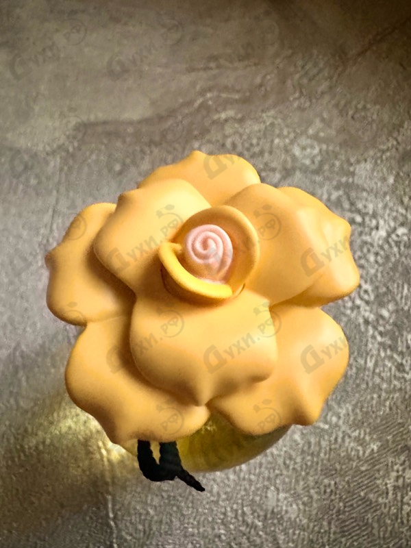 Купить Dolce Shine от Dolce & Gabbana