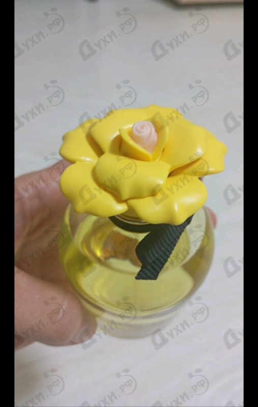 Парфюмерия Dolce & Gabbana Dolce Shine