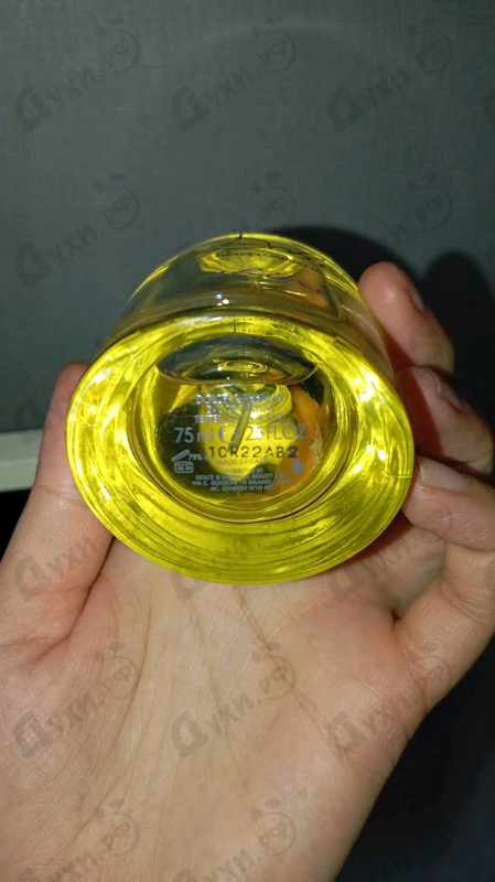 Купить Dolce Shine от Dolce & Gabbana