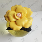 Отзывы Dolce & Gabbana Dolce Shine