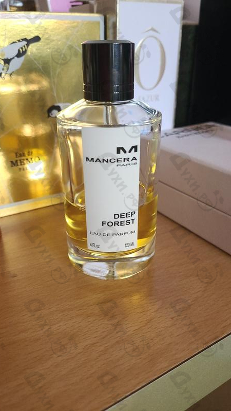 Купить Deep Forest от Mancera