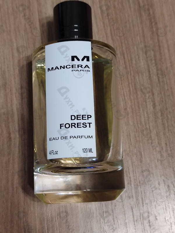 Парфюмерия Deep Forest от Mancera