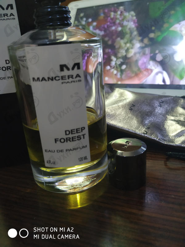 Купить Deep Forest от Mancera