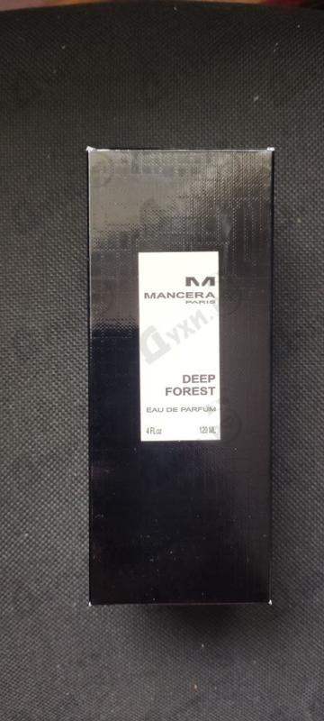 Купить Deep Forest от Mancera