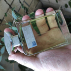 Отзывы The Parfum The Artist De Paris