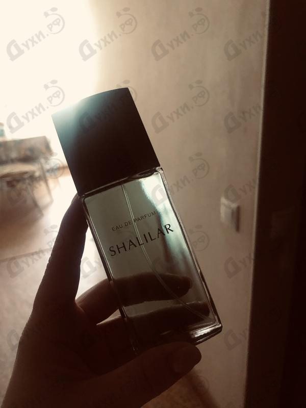 Отзывы Новая Заря Шалилар