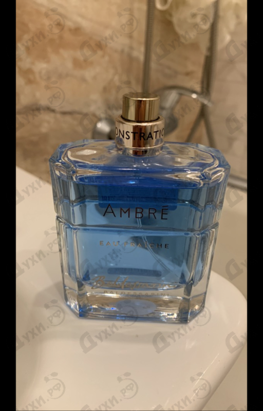 Купить Baldessarini Ambre Eau Fraiche от Hugo Boss