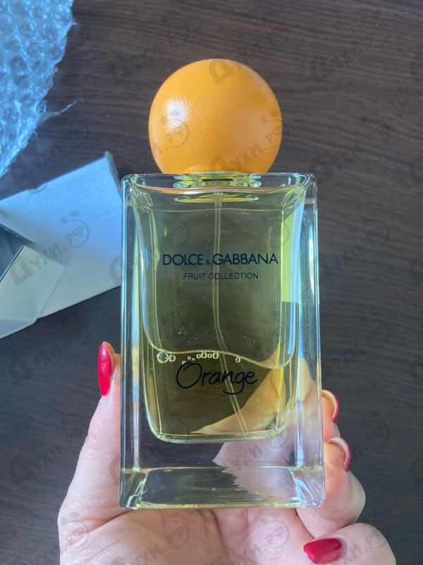 Отзывы Dolce & Gabbana Orange