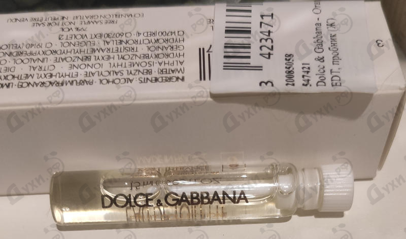 Отзывы Dolce & Gabbana Orange