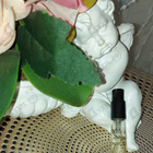 Отзыв Dolce & Gabbana Lemon