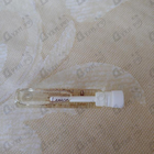 Духи Lemon от Dolce & Gabbana