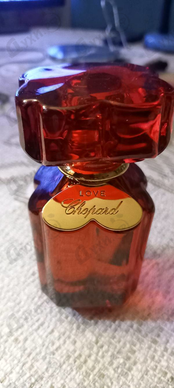 Купить Chopard Love Chopard