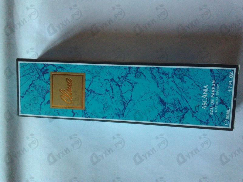 Отзыв Brocard Ascania Clima