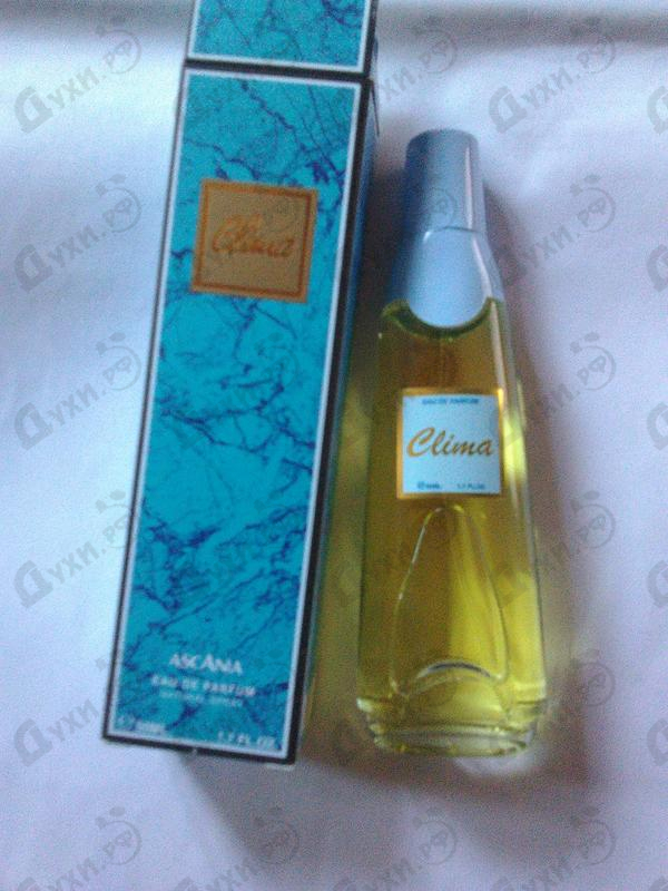 Отзывы Brocard Ascania Clima