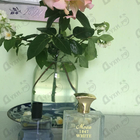 Отзыв Norana Perfumes Moon 1947 White