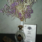 Отзыв Norana Perfumes Moon 1947 White