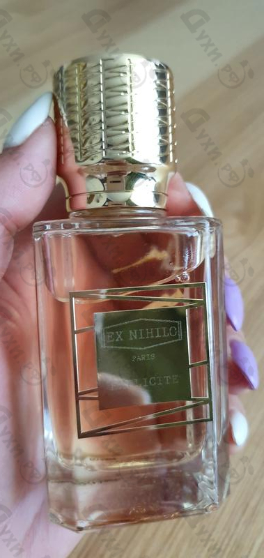 Купить Explicite от Ex Nihilo Купить Ex Nihilo Explicite