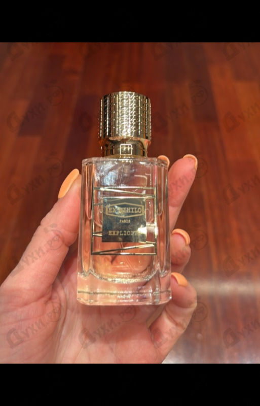 Отзыв Ex Nihilo Explicite