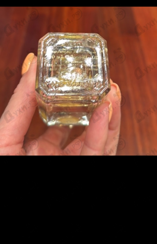 Отзыв Ex Nihilo Explicite