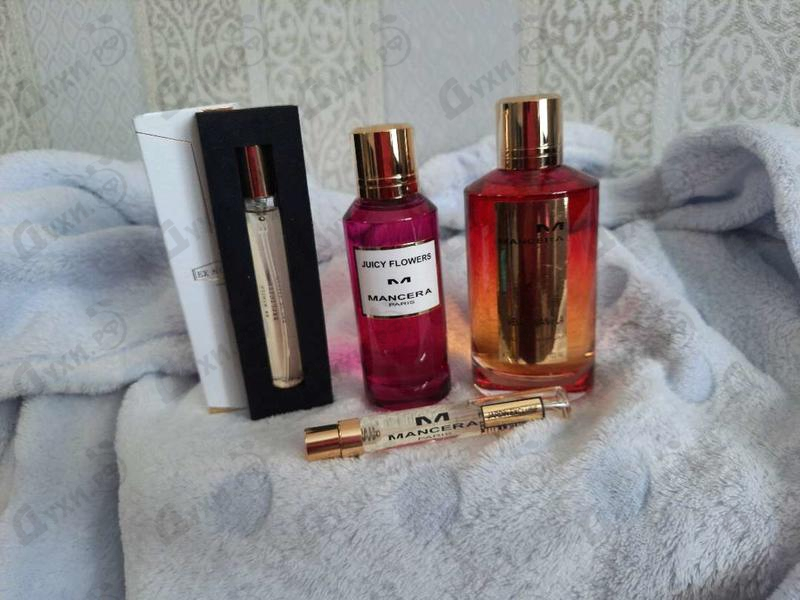 Парфюм Ex Nihilo Explicite Купить Explicite от Ex Nihilo