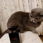 Отзывы Dolce & Gabbana The Only One Eau De Parfum Intense