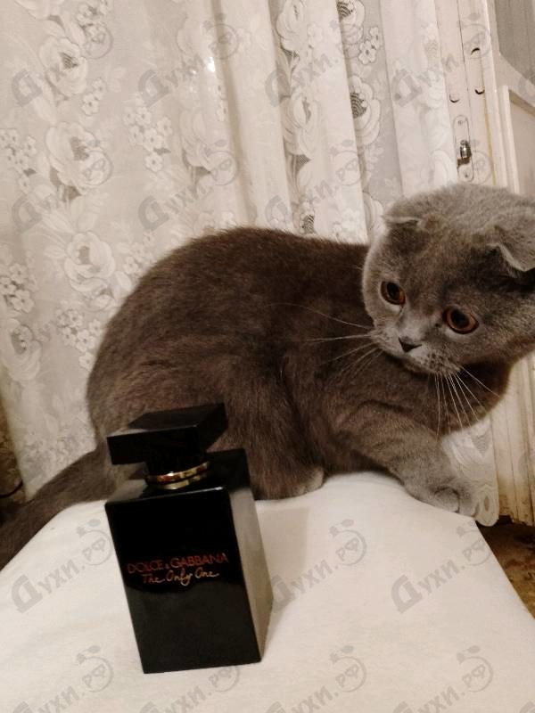 Духи The Only One Eau De Parfum Intense от Dolce & Gabbana