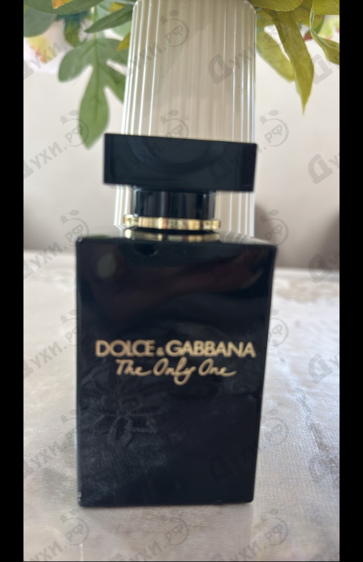 Купить The Only One Eau De Parfum Intense от Dolce & Gabbana