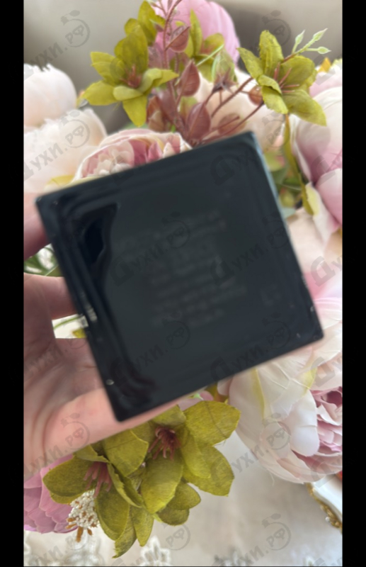 Парфюмерия Dolce & Gabbana The Only One Eau De Parfum Intense