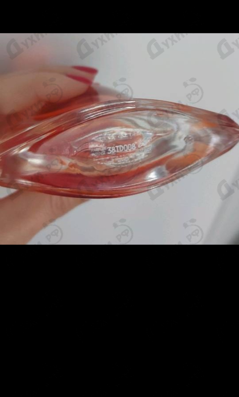 Парфюмерия La Vie Est Belle Intensement от Lancome Отзывы Lancome La Vie Est Belle Intensement