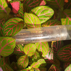 Парфюм Lancome La Vie Est Belle Intensement