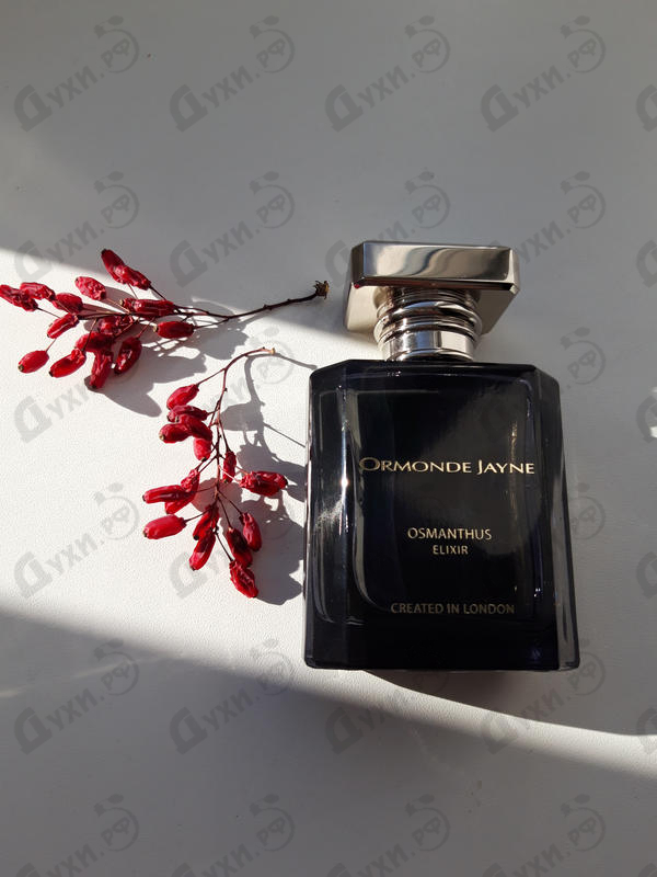 Купить Osmanthus Elixir от Ormonde Jayne
