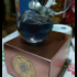 Купить Wanted Girl Tonic от Azzaro