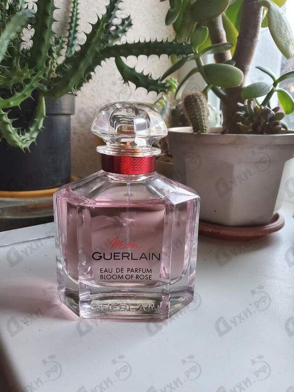 Купить Mon Guerlain Bloom of Rose Eau de Parfum от Guerlain