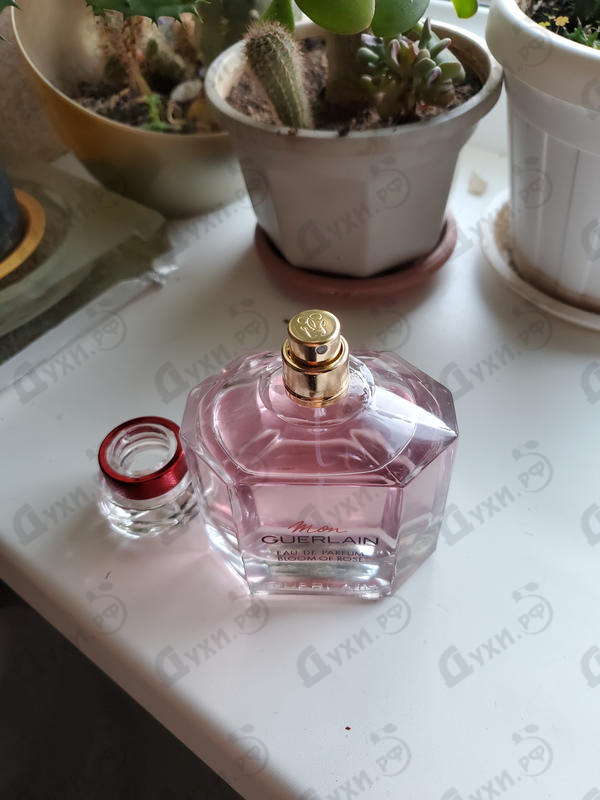 Духи Mon Guerlain Bloom of Rose Eau de Parfum от Guerlain