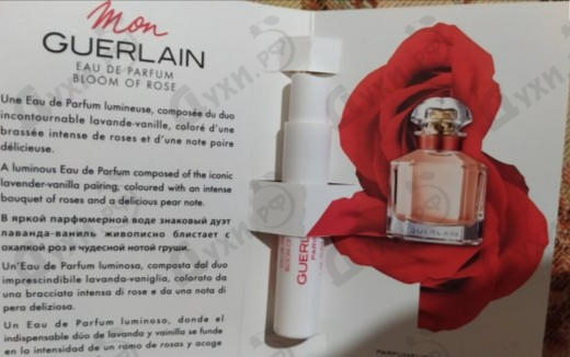 Купить Mon Guerlain Bloom of Rose Eau de Parfum от Guerlain