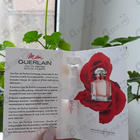 Отзыв Guerlain Mon Guerlain Bloom of Rose Eau de Parfum