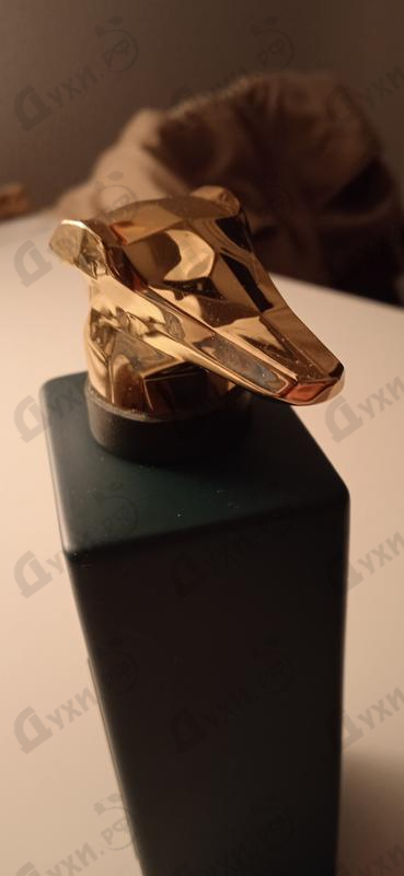 Купить Behind The Curtain Piazza Alla Scala от Trussardi Купить Trussardi Behind The Curtain Piazza Alla Scala