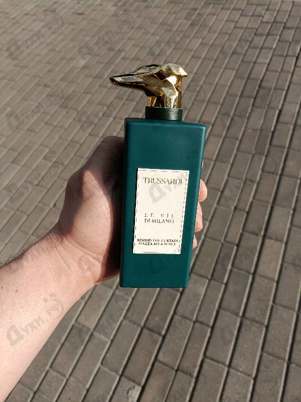 Купить Behind The Curtain Piazza Alla Scala от Trussardi