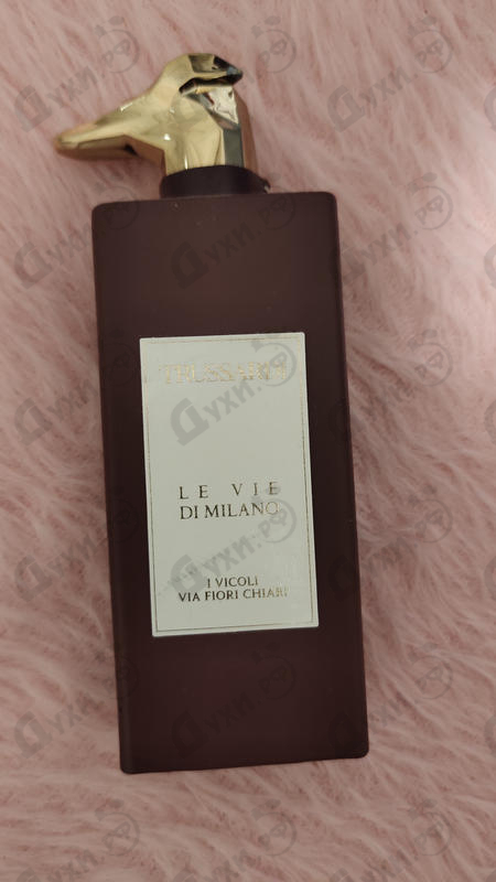 Купить I Vicoli Via Fiori Chiari от Trussardi