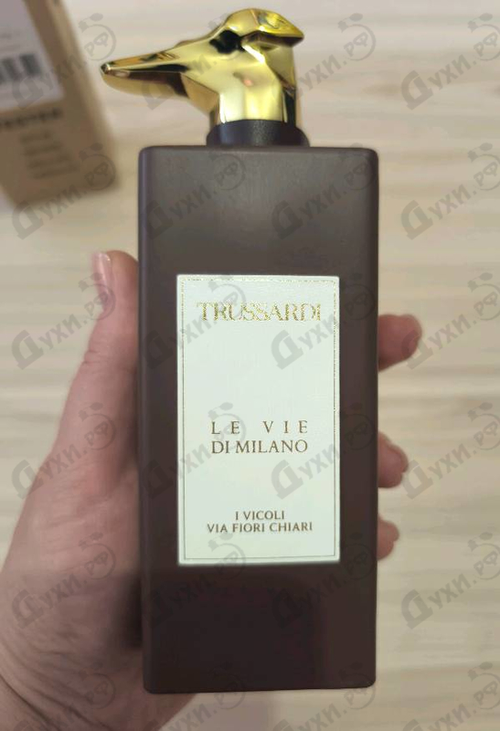 Отзыв Trussardi I Vicoli Via Fiori Chiari