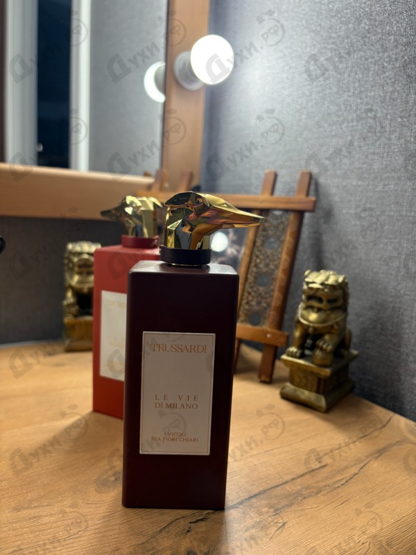 Купить Trussardi I Vicoli Via Fiori Chiari