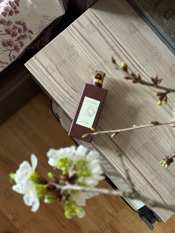 Купить Trussardi I Vicoli Via Fiori Chiari