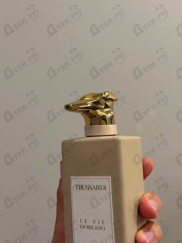 Парфюмерия Limitless Shopping Via Della Spiga от Trussardi
