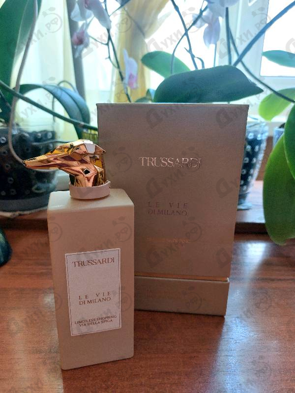 Купить Limitless Shopping Via Della Spiga от Trussardi