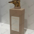 Отзыв Trussardi Limitless Shopping Via Della Spiga